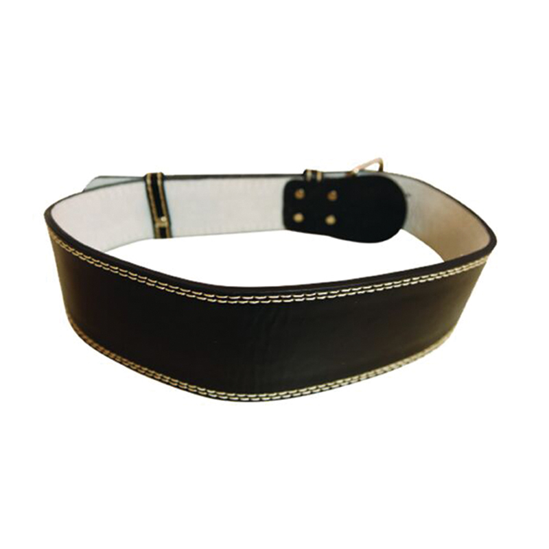 DIPPING BELT